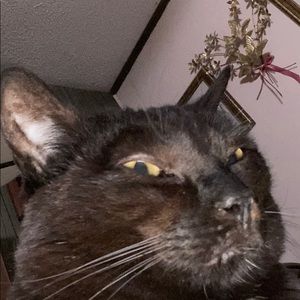 Meet your Posher, Larry